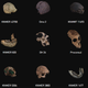 Illustration for article titled 3D-Print Your Own 20-Million-Year-Old Fossils